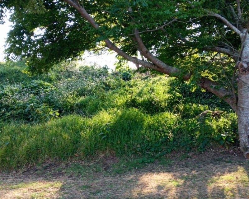 Terreno en VENTA en Condominio Sausalito