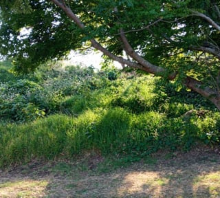 Terreno en VENTA en Condominio Sausalito