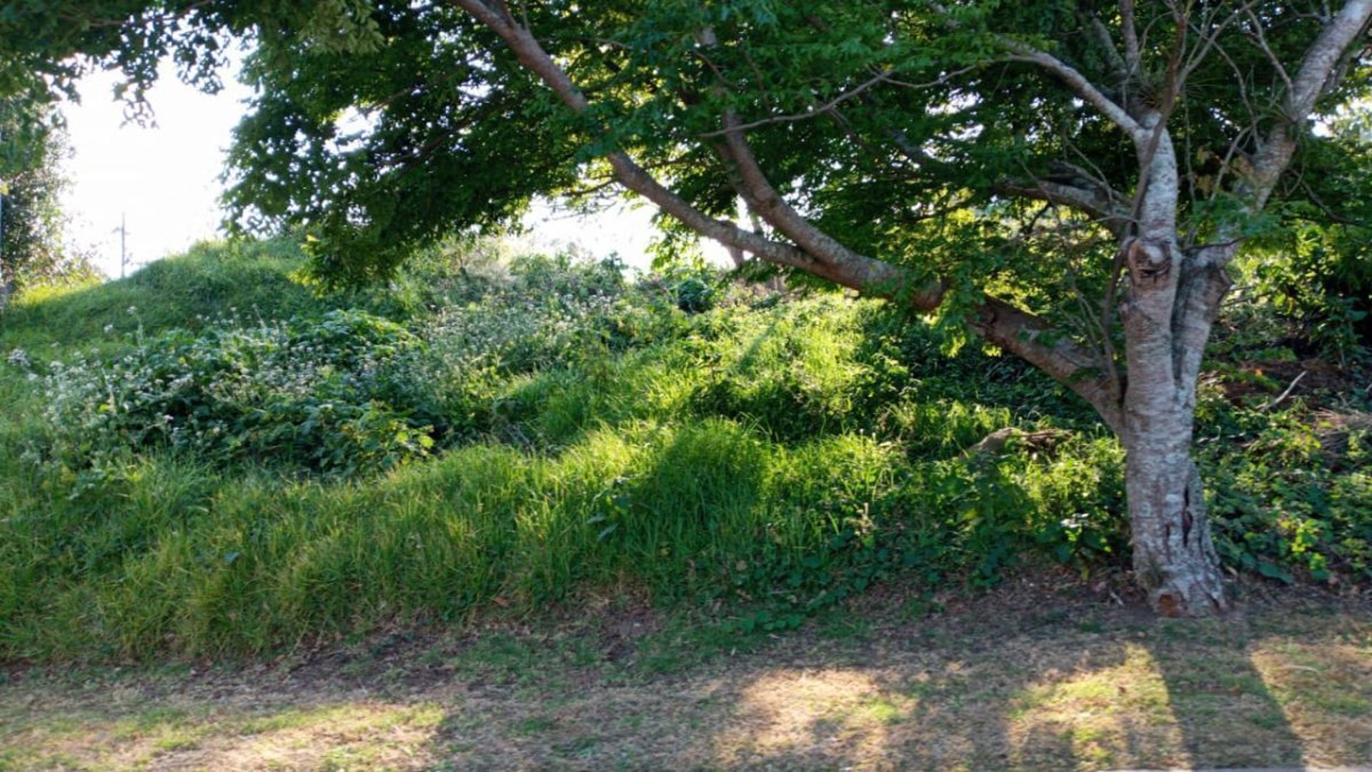 Terreno en VENTA en Condominio Sausalito