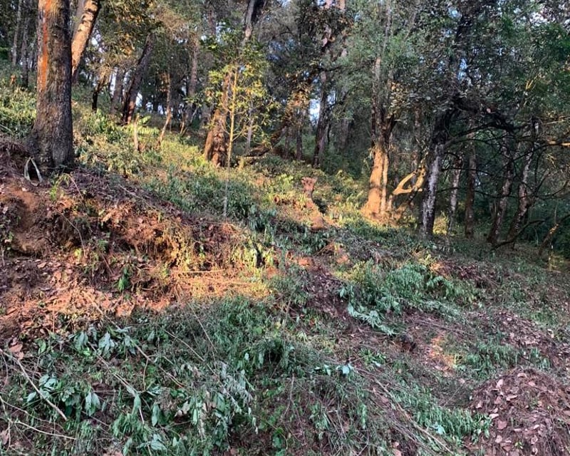 TERRENO RESIDENCIAL EN VENTA EN ZONA 7