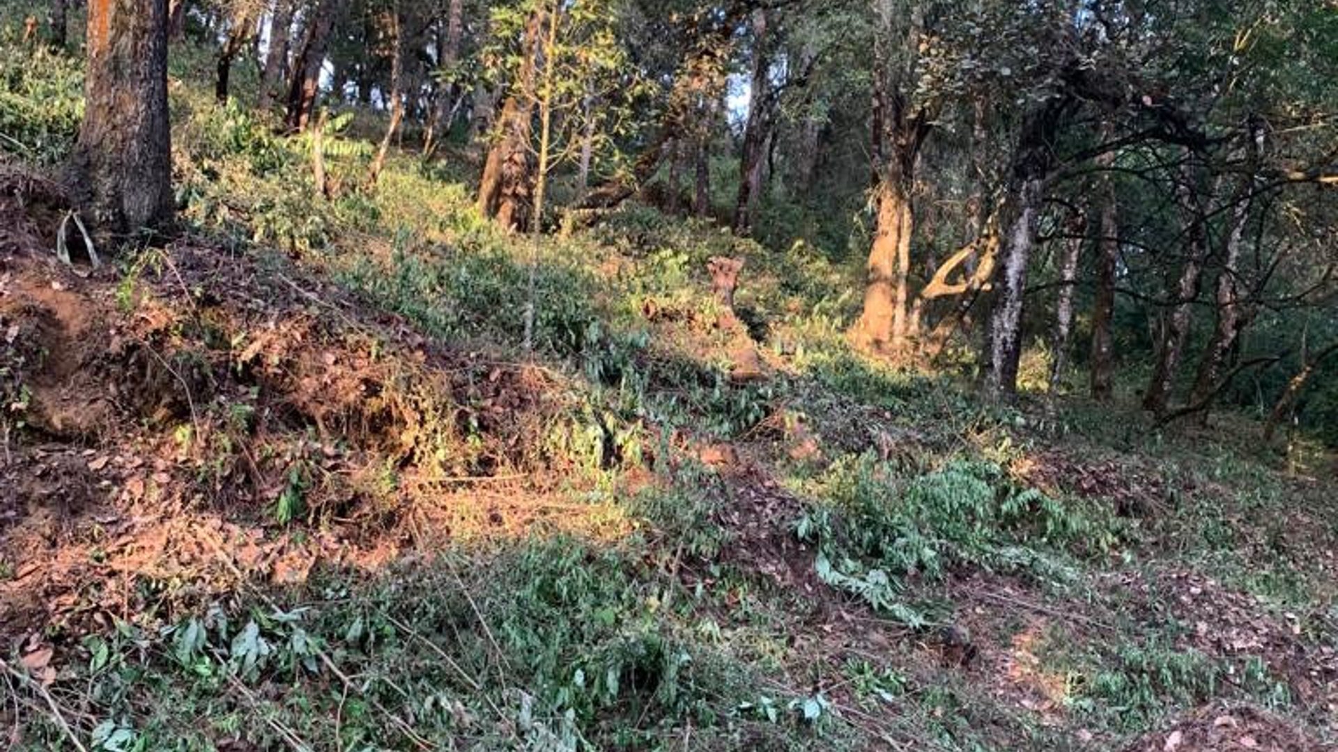 TERRENO RESIDENCIAL EN VENTA EN ZONA 7