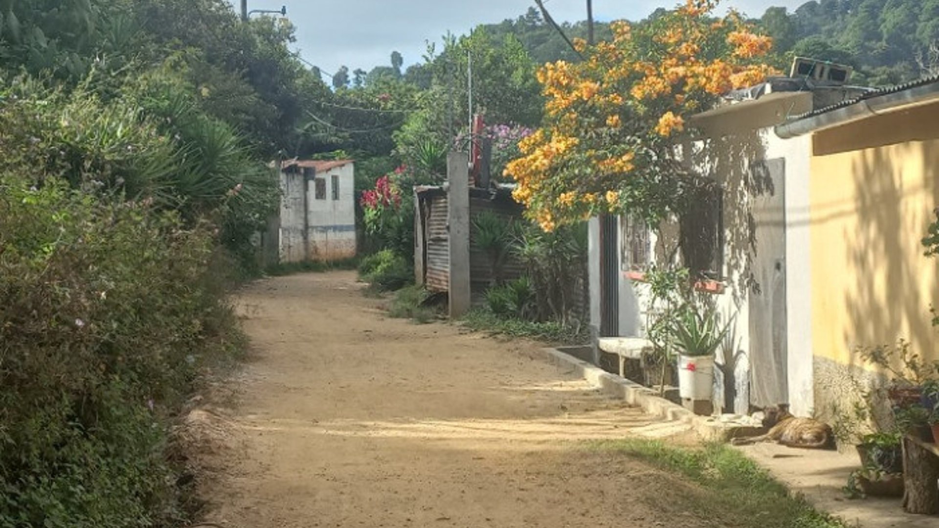 Terreno Comercial área San Pedro Ayampuc - Miniatura 18