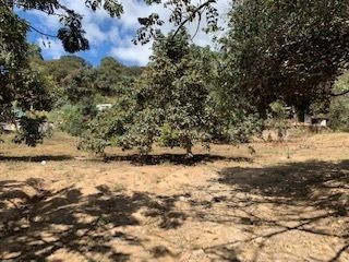 TERRENO EN VENTA ENTRE MIXCO Y VILLANUEVA / TERRENO DE 6 MANZANAS - 5