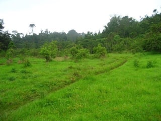 VENTA EXCELENTE FINCA  CARRETERA A SANTA ROSA - 2