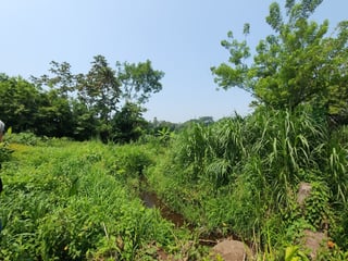En Venta finca +40Mil Varas en el Km. 78 Ruta CA-2 - 5