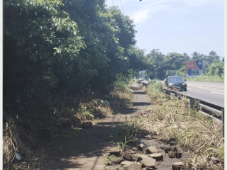 Land for Rent in Escuintla, km 79 route to Siquinala - Image 6