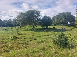 FINCA EN VENTA – PETÉN | SAN ANDRES - 5
