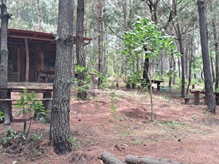 Parque ecológico en Venta en San Andres Itzapa Chimaltenango - 4