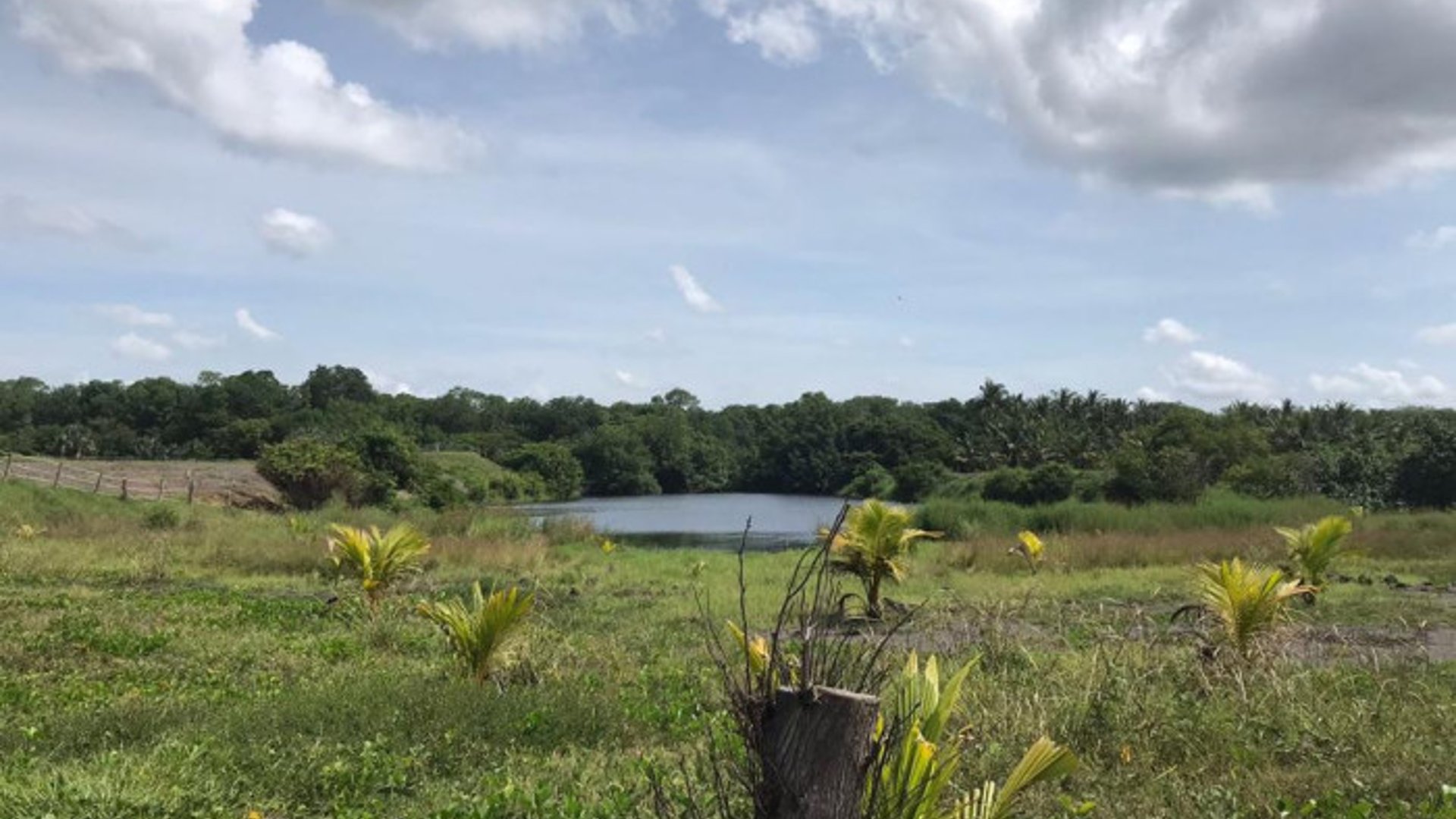 Venta de Terreno en Escuintla - Miniatura 2