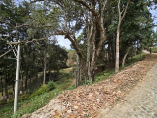 Terreno en Venta Los Horizontes Santo Domingo Xenacoj - 2