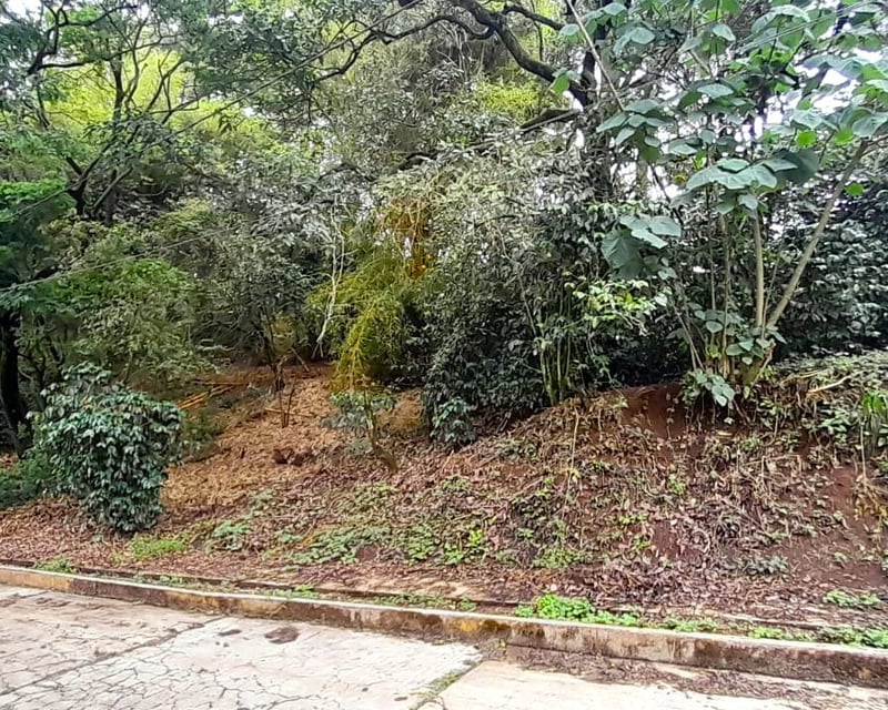 Terreno en Venta en Carretera a El Salvador