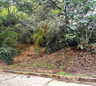 Terreno en Venta en Carretera a El Salvador
