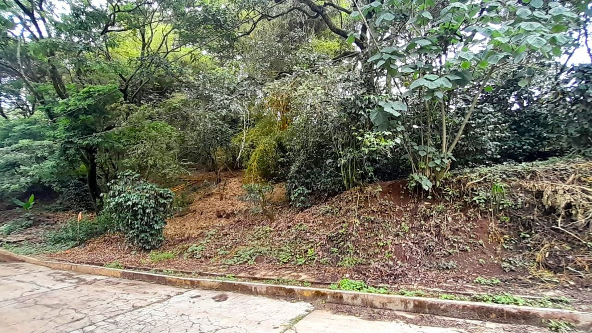 Terreno en Venta en Carretera a El Salvador