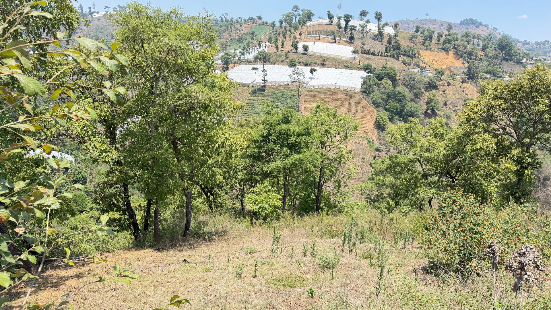 Terreno en Venta Sumpango, Sacatepéquez: 3.7 Hectáreas para su Proyecto - Miniatura 3