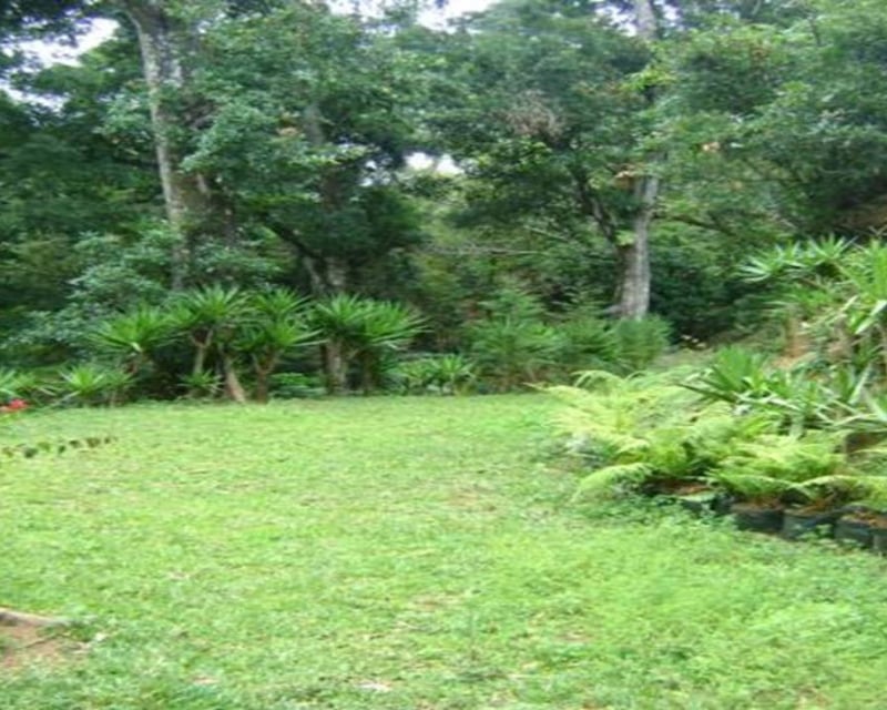 Terreno en Venta en Km 24 Rumbo a Fraijanes