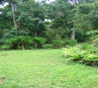 Terreno en Venta en Km 24 Rumbo a Fraijanes