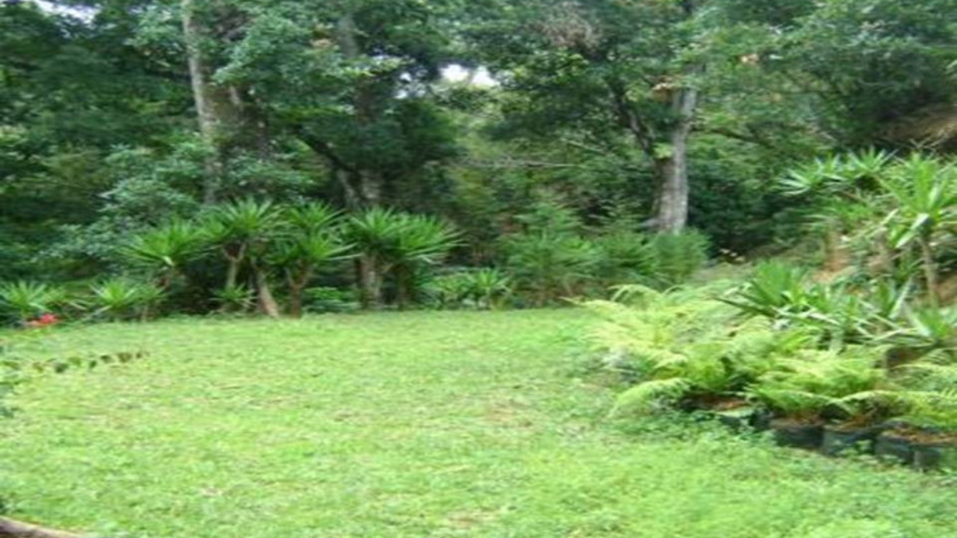 Terreno en Venta en Km 24 Rumbo a Fraijanes