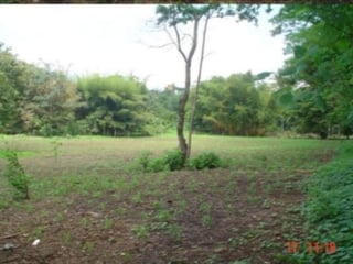 Venta de Terreno en Aldea La Unión Coatepeque - 4