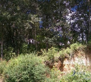 Terreno en venta en Aldea Chichorin San Lucas