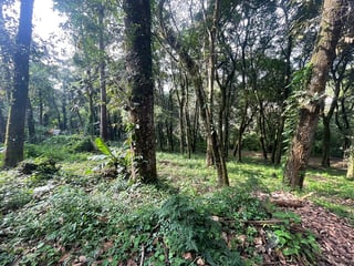Terreno en venta, en San Lucas Sacatepéquez - 3