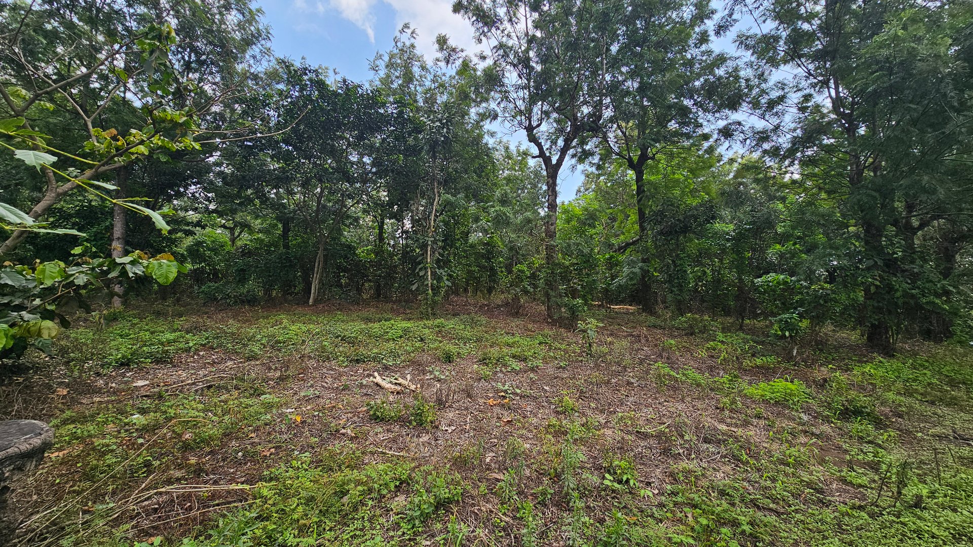 Terreno de 1 Manzana en Alotenango Cercanía Estratégica a la RN14 - Miniatura 7
