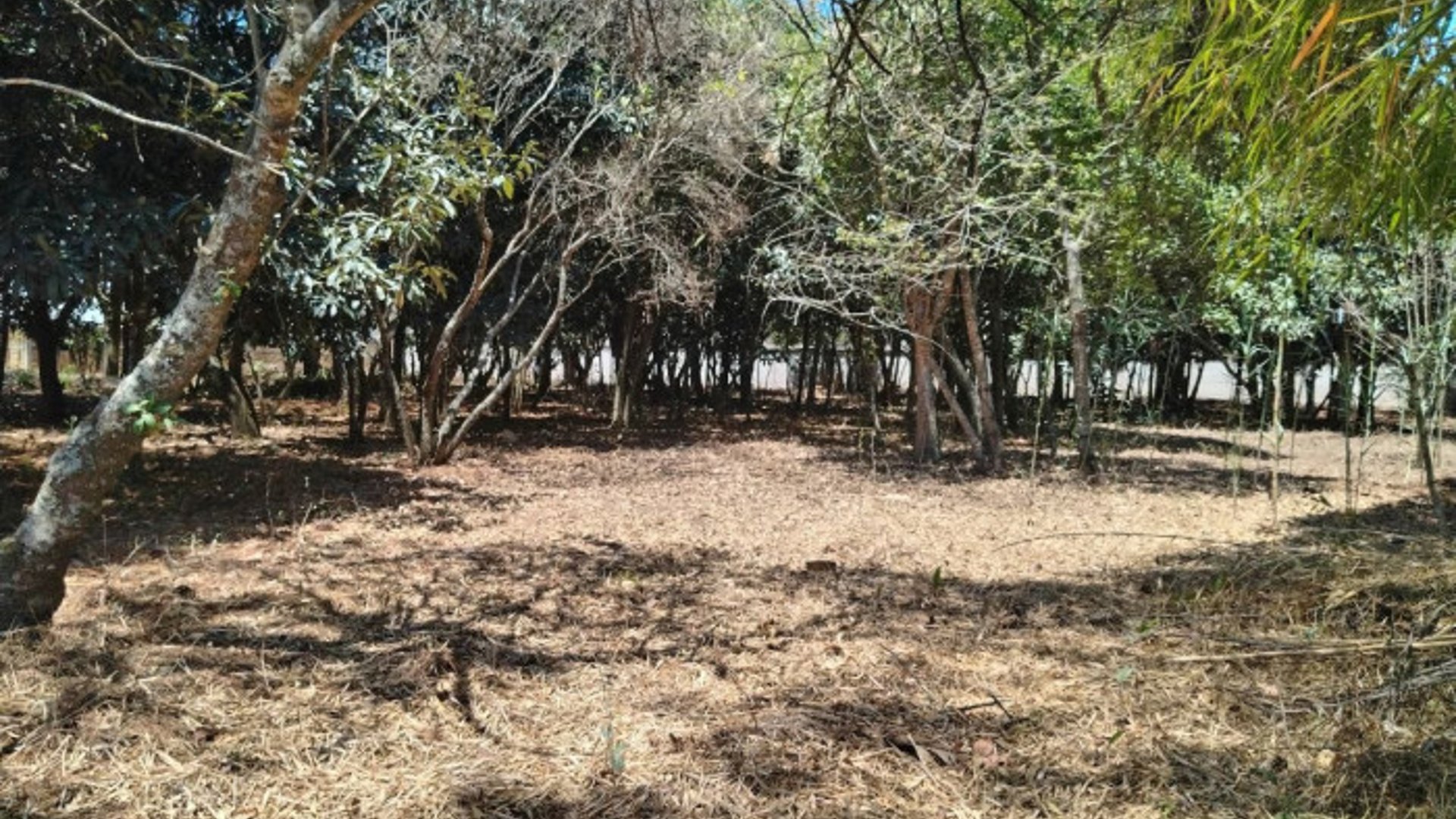 TERRENO EN VENTA EN CHIMALTENANGO - Miniatura 12