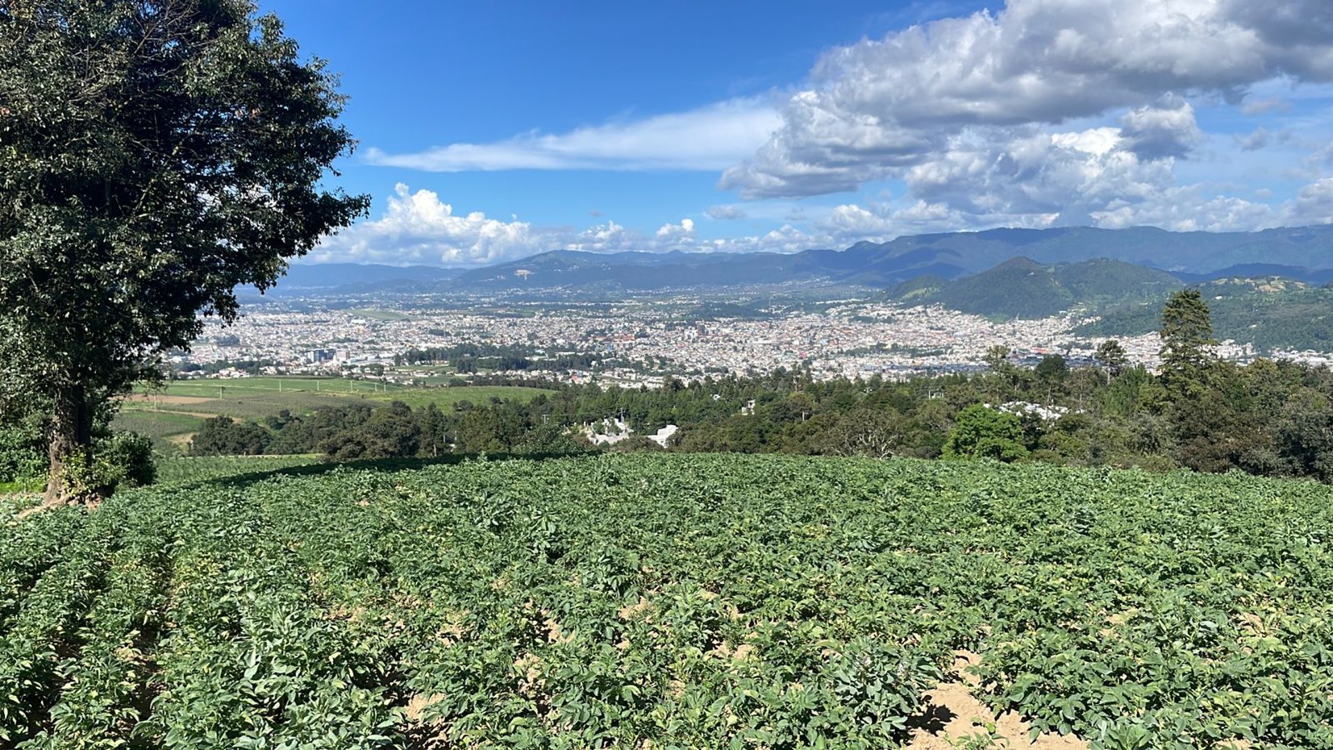 Terreno en venta, en Quetzaltenango - Miniatura 6