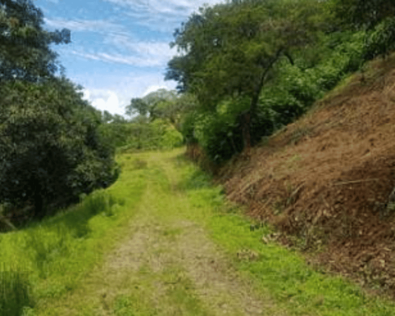 Terrenos en VENTA en Sololá