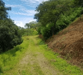 Terrenos en VENTA en Sololá