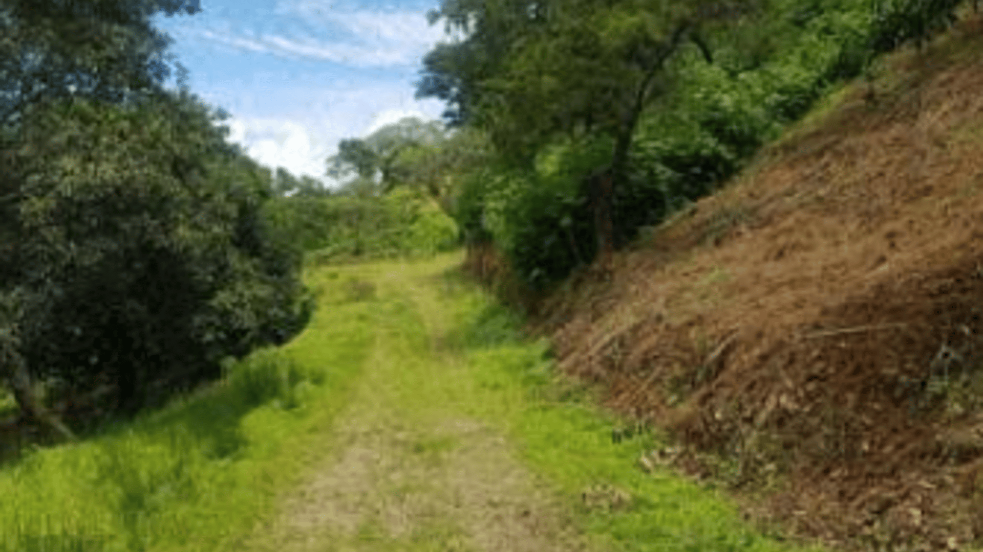 Terrenos en VENTA en Sololá