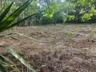 Terreno en venta Granjas Valle de Montebello/vas - 5