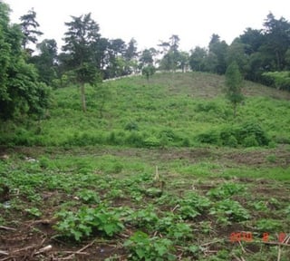 Terreno en Venta La  Ciénega Grande, San Jose Pinula