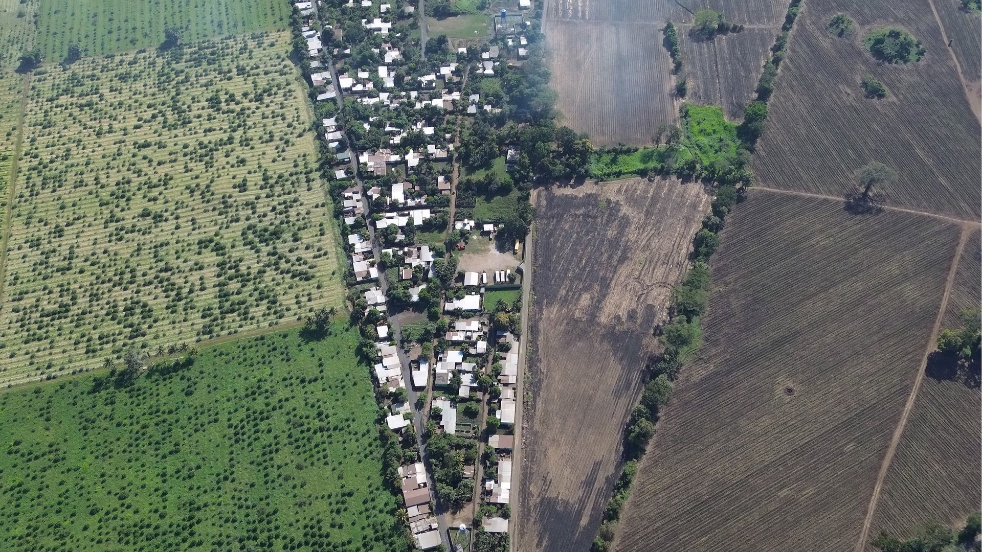 Finca en VENTA en La Democracia, Escuintla - Miniatura 4