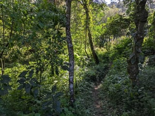 SAN LUCAS / TERRENO EN VENTA - Image 4