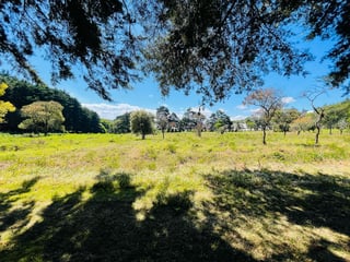 VENTA DE AMPLIO TERRENO - PREMIERE CAMPESTRE, KM 22.5 CES - 4