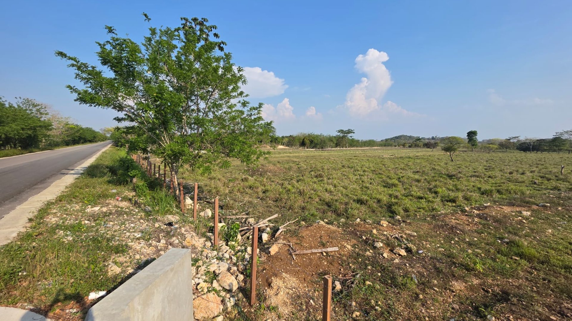 200 manzanas en venta en  Santa Ana, Peten  - Miniatura 3