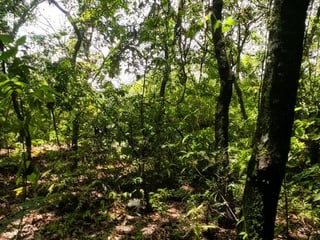 TERRENO EN VENTA GIRO COMERCIAL - 4