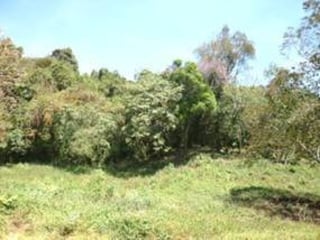 Terreno en Venta en Carretera a El Salvador km 20.5 - 4