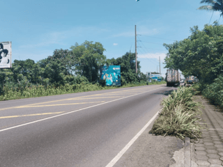 Land for Rent in Escuintla, km 79 route to Siquinala - Image 5