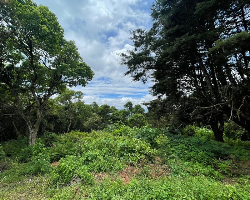 Venta de terreno en Altos de San Vicente | Carretera a El Salvador