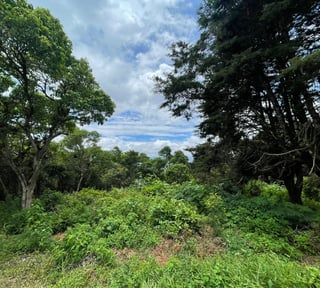 Venta de terreno en Altos de San Vicente | Carretera a El Salvador