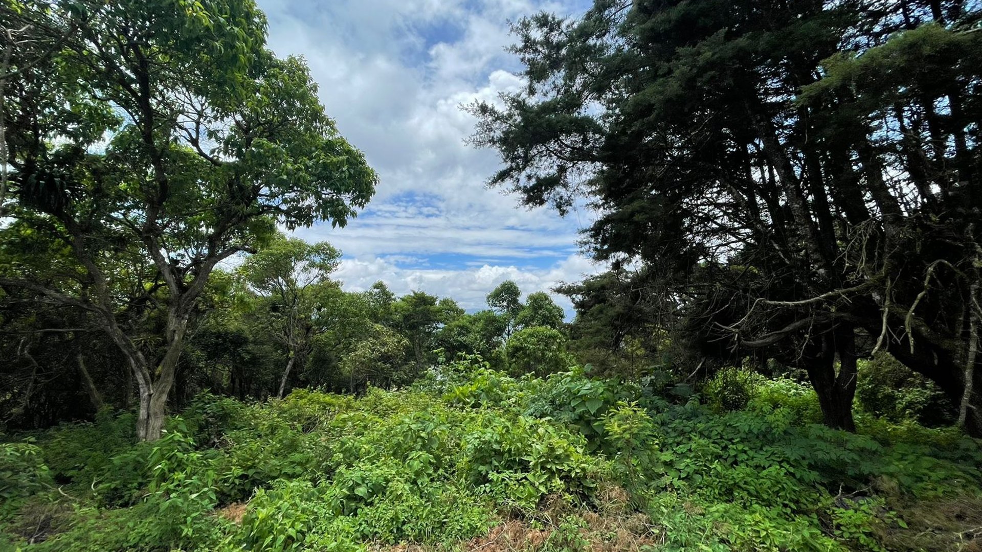 Venta de terreno en Altos de San Vicente | Carretera a El Salvador