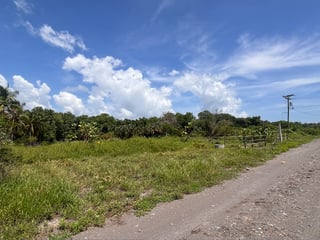 Lote en Venta a 150 mts de playa, Palm Town Beach, Escuintla - 2