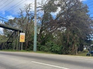 Terreno en Venta en Carretera San Lucas hacia Antigua - Image 14