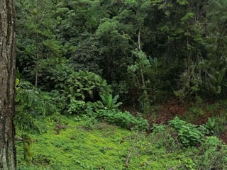 TERRENOS EN VENTA EN SANTA ROSALIA - 3