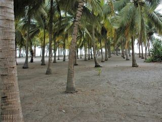 Land for Sale in Tulate, Guatemala - 7185 m² - $199,000 - Image 1