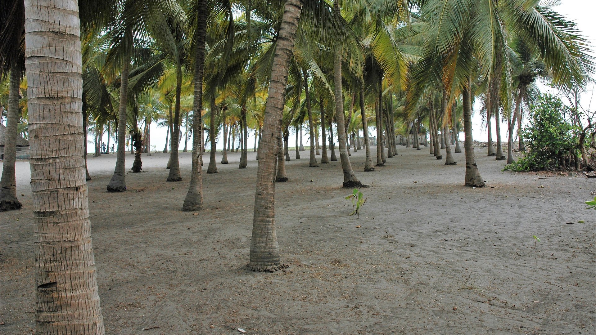 Land for Sale in Tulate, Guatemala - 7185 m² - $199,000