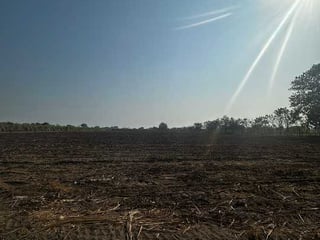 Terreno en Venta  Carretera Antigua Puerto  San José - Image 8