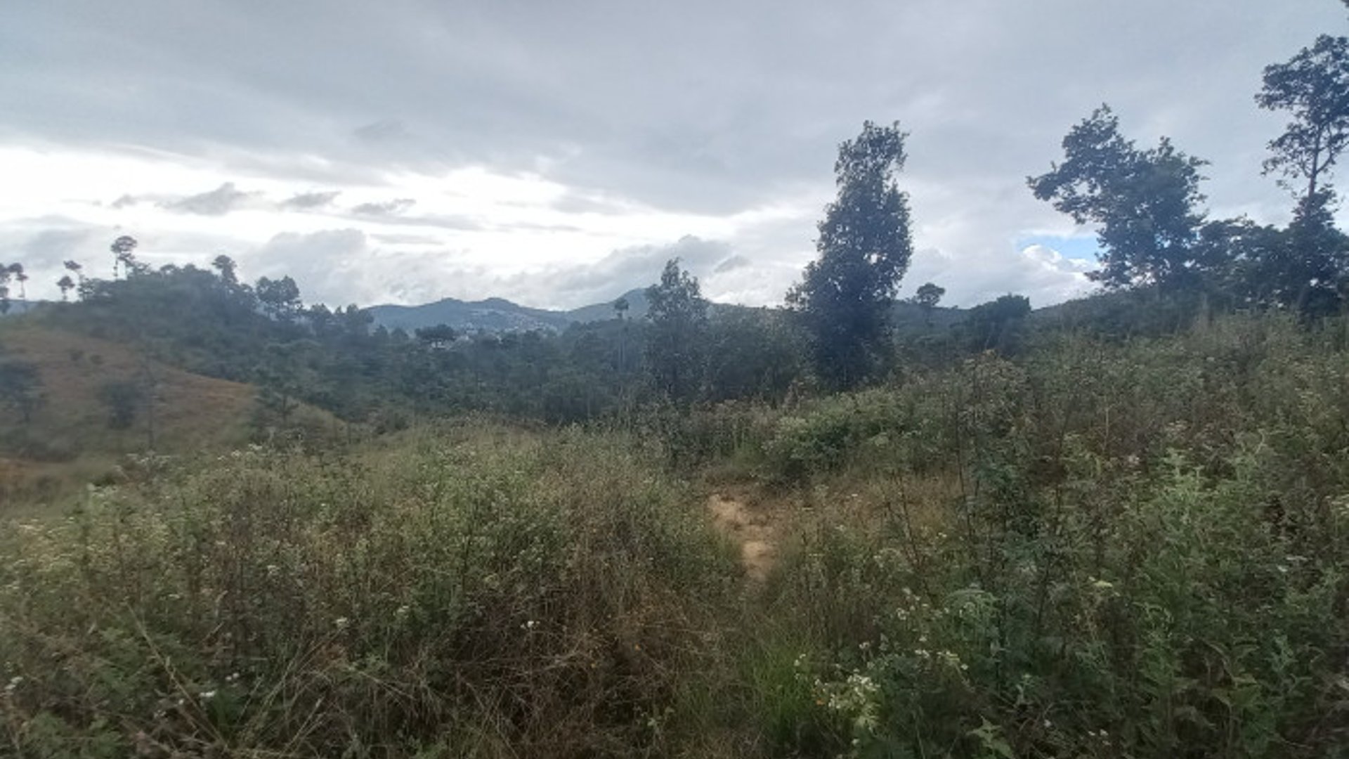 Terreno Comercial área San Pedro Ayampuc - Miniatura 11