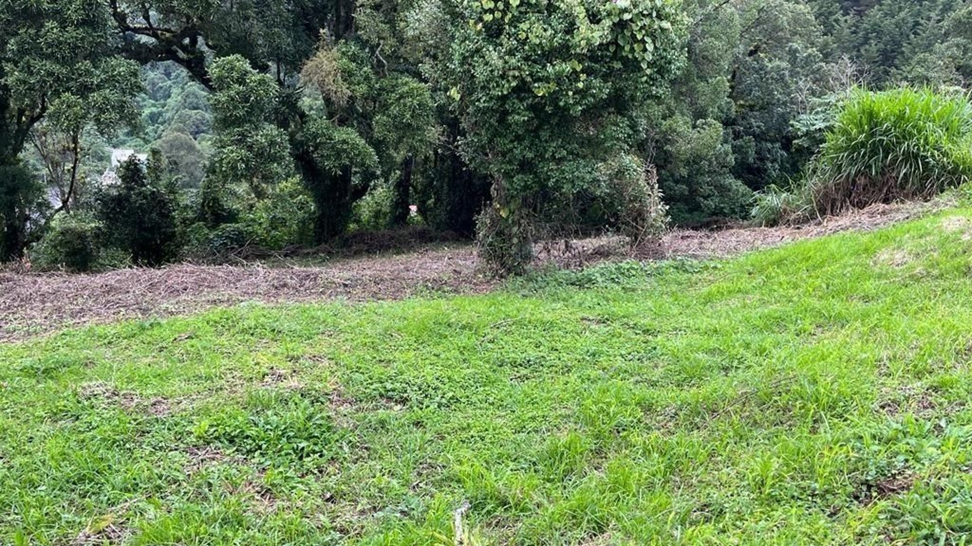 TERRAVISTA/ Terreno en Venta, CES